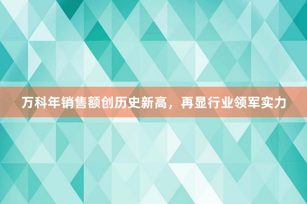 万科年销售额创历史新高，再显行业领军实力